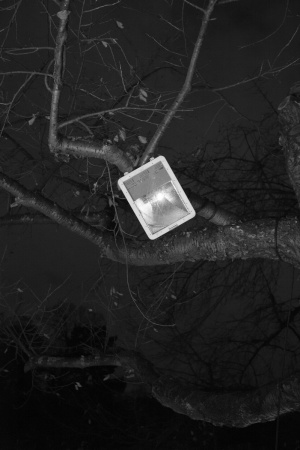 Nuit © CHEN HAN