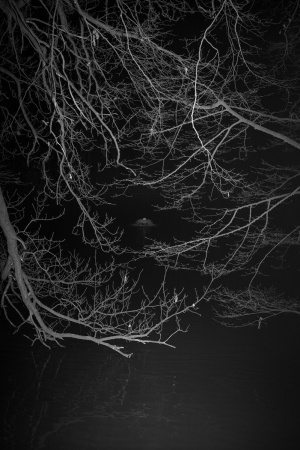 Nuit © CHEN HAN