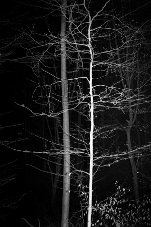 Nuit © CHEN HAN