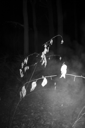 Nuit © CHEN HAN