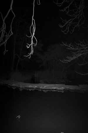 Nuit © CHEN HAN
