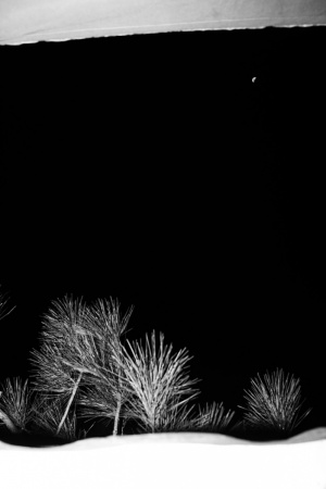 Nuit © CHEN HAN