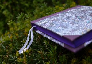 knihy © Petra Čern&aacute;