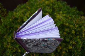 knihy © Petra Čern&aacute;