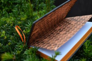 knihy © Petra Čern&aacute;